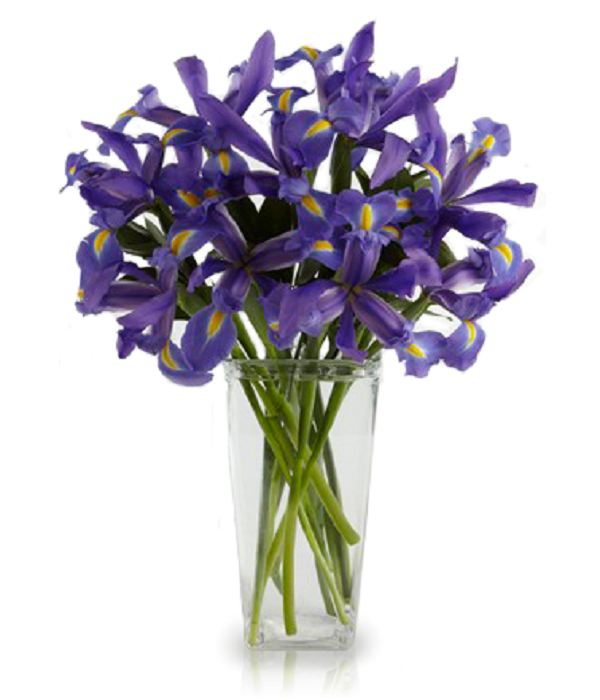 Iris Bouquets