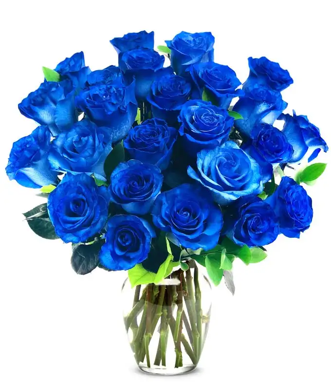 Blue roses